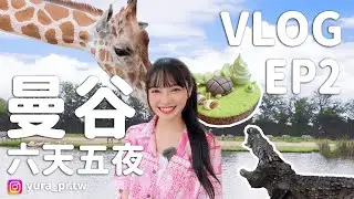 【旅遊Vlog】泰國曼谷六天五夜自由行 EP2 KKday北碧府一日遊 在吉普車上跟長頸鹿合照！
