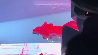 251018 BIBI BIBI Vengeance / 2025 BIBI 1st WORLD TOUR [EVE] in MELBOURNE 