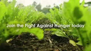 The Mini Farm Project