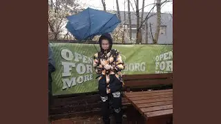 Podirava Zidove