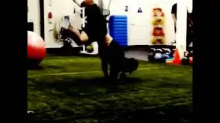 Pasadena Personal Trainer Ron Le Fitness Ninja Training