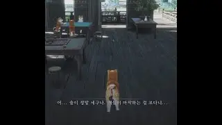 [기연] 비범한 개