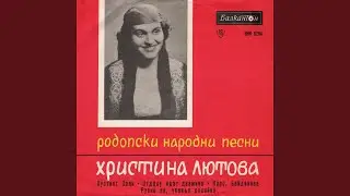 Пустият Сали