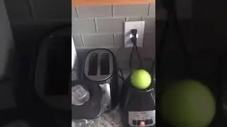 Exploding fruit
