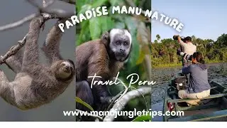 MANU  BIOSPHERE RESERVE
