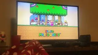 my reaction to Super Mario world forest of Illusion cartoon mashup