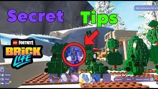 Fortnite EXPERT Reveals Hidden Brick Life Secrets for Beginners!