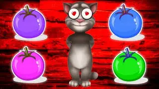 talking tom eat color full tomato funny video | billu eat color full tomato funny video | billu