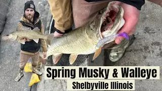 Shelbyville Spillway Spring Musky & Walleye (MUSKYVILLE, IL)