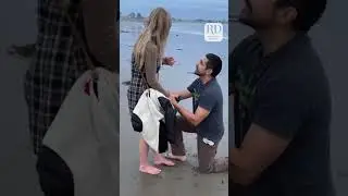 Little Runaway Interrupts Romantic Beach Proposal