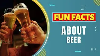Fun and Fascinating Facts about Beer 👀
