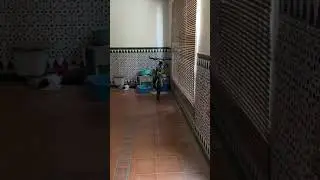 Raypal