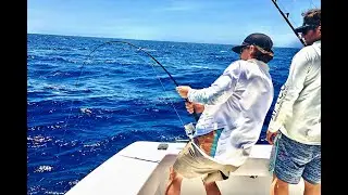 IRT500 | IRT Reels