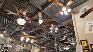 Fanimation museum ceiling fan display (upstairs) 