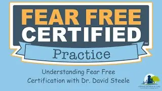 Understanding Fear Free Certification