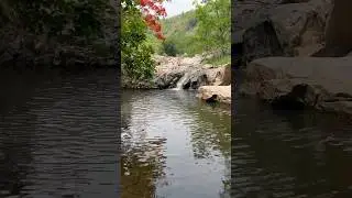 #biketrip #friendstrip #biking #hiking #hills #waterfall #naturesounds #wanderer #naturelovers #bike