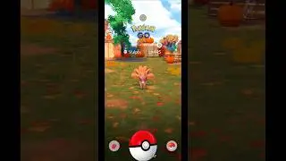 💥 PokeGothy поймал довольно редкого хэллоуинского Вульпикса БЫСТРО! (СКОРОСТЬ В 2,5X) | Pokemon G...
