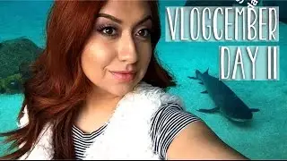 Vlogcember Day 11: Aquarium Day! |Kassierod