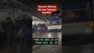 тошкент Москва Узбекистан Автобус #musica #remix #music #memes #dj #2024 #москва #мусофир #тошкент