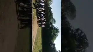 MSF Vs Isf gujrat