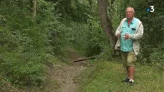 Un champignon toxique responsable des nombreux cas de maladie de Charcot en Is&egrave;re et Savoie ?