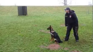 Kenai Training