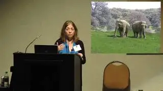 Lori Marino: What Is an Animal Sanctuary?