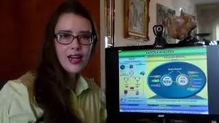 Explicación Lamina Maestra - Isabel Velásquez