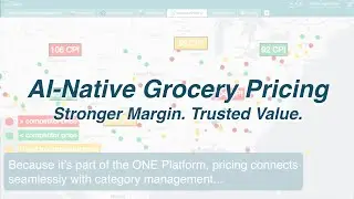 AI-Native Grocery Price Optimization