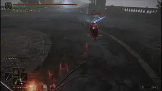HeaVy  Dex-The flying demon Build PVP -ELDEN RING