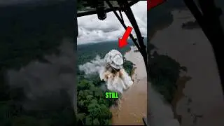 Пять древних животных, которые до сих пор живы 😱