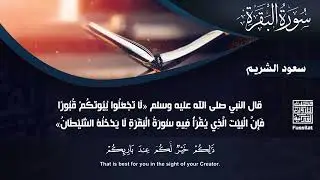 سورة البقرة كاملة بدون اعلانات فضيلة الشيخ سعود الشريم surah baqarah saud shuraim