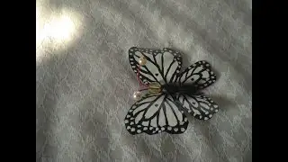 How to make butterfly out of plastic bottle/Plastic bottle craft./DIY Butterfly making