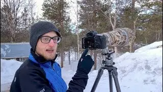 Vogelfotografie Tutorial - Singvögel in Finnland