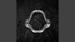 BLACK LIVES MATTER (feat. MED, Skyzoo & Badge and Talkalot) (instrumental)