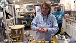 FFRC Boxes Part 2  01-17-2020  Friends of Felines Rescue Center (FFRC)