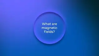 What are magnetic fields?