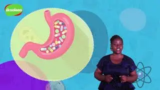 Synthetic and naturally occurring drugs | skooleeo