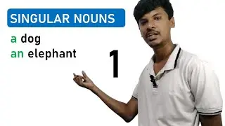 Singular Nouns a / an + noun | Basic English Grammar