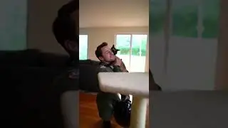 😂 SIREN ALERT! Siamese cat (Mochi) screams like a tiny siren #catsoftiktok #siamesecat #funnycats