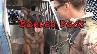 A Look at How Dogs Are Used to Patrol the U.S.-Mexico Border