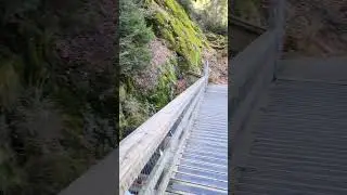 #travel #triberg #waterfall Triberg, Germany #beautiful #ViewWithThrill