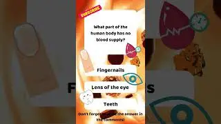 Human Body Part With No Blood Supply! 🩸#shortsfeed #quiz #trivia #generalknowledgequestion