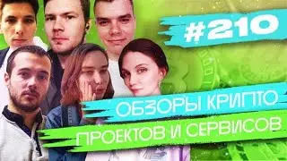 [#210]Обзоры: DeBio, CoinGecko, Berry Farm, Berry Club, Pixelparty, Immutable X; манифест от Binance
