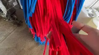 Soft gloss max ryko car wash insides