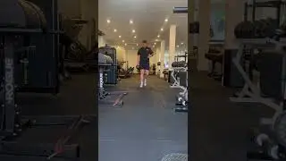 Exercise: Suitcase Carry