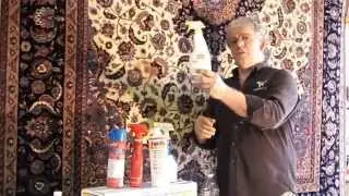 Having A pet That Pee Pee On Oriental rug