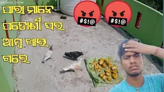ପାରା ମାନେ ପଡୋଶୀ ଘର ଆମ୍ବ ଖାଈ ଗଲେ 🤬🤬।। minizoo @JAPUARABPETVLOG @odiapetdunia