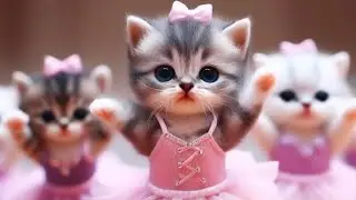 Cute cat dpz Video  😘😍💗 #catlovers #catvideos #cutewhatsappdpz #viral#catphoto