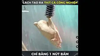 C&Aacute;CH TẠO RA THỊT C&Aacute; C&Ocirc;NG NGHIỆP CHỈ BẰNG 1 N&Uacute;T BẤM #phimhay #reviewphim